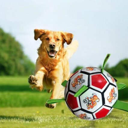 Dog Treats & Chews