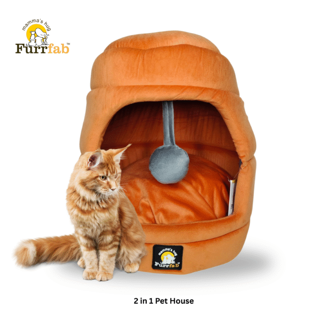Cat House