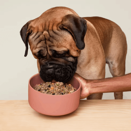 Dog Food