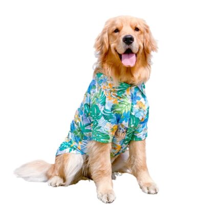 Summer Wear