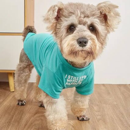Dog Clothing