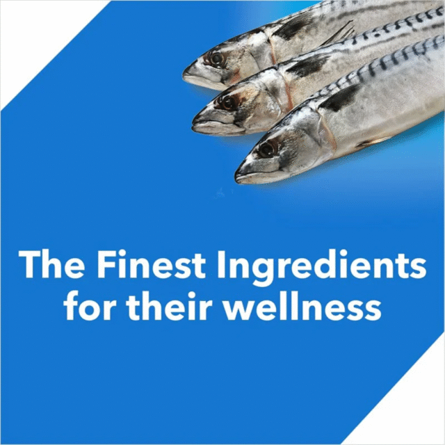 Drools Cat Ocean Fish 400g - for Adult Cat (Pack of 2) - Image 4