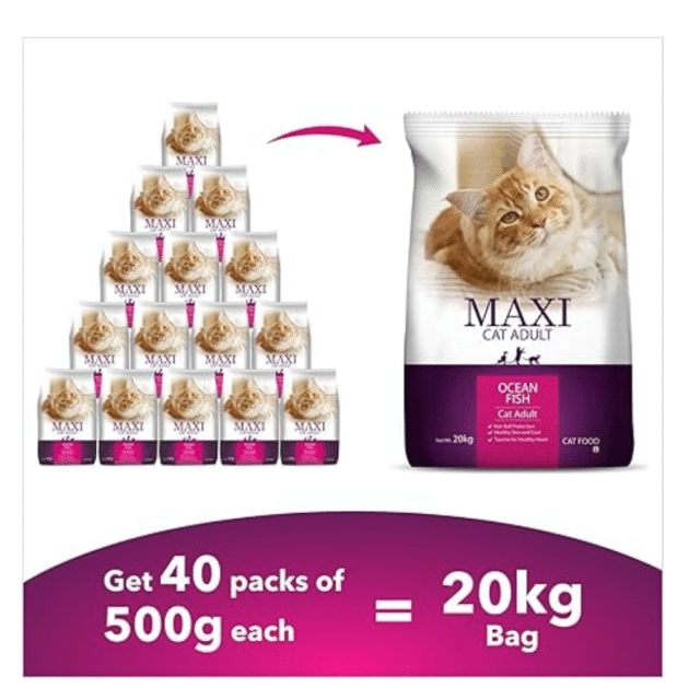 cat dry food