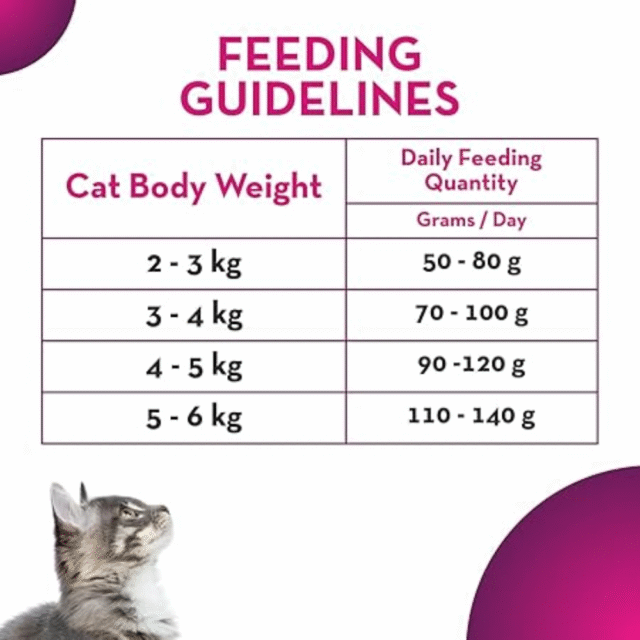 Drools Maxi Ocean Fish Adult Dry Cat Food - 20kg - Image 7
