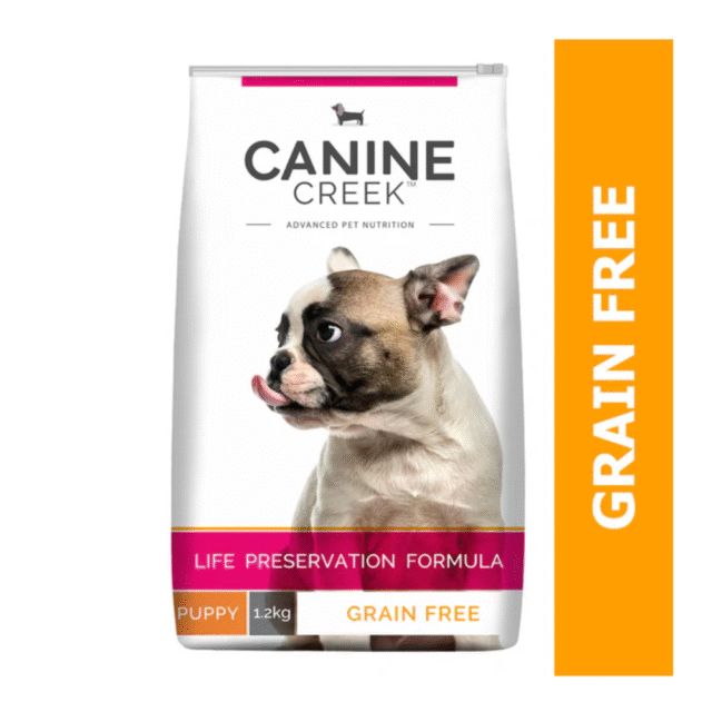 dog dry food