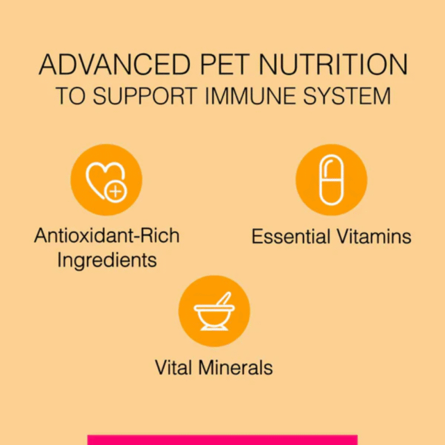 dog food
