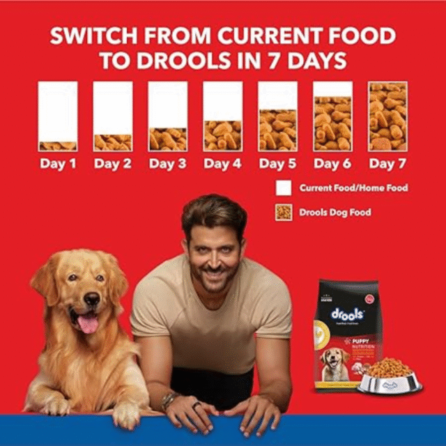 Drools Puppy Dry Dog Food, Chicken and Egg Flavor 80 gm (Pack of 5) - Image 4