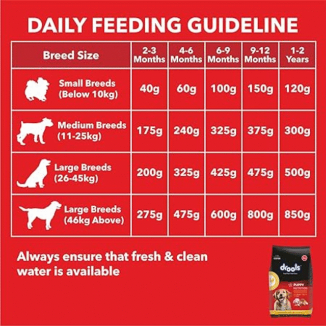 Drools Puppy Dry Dog Food, Chicken and Egg Flavor 80 gm (Pack of 5) - Image 5