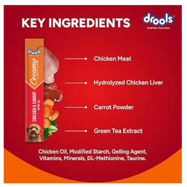 dog treat