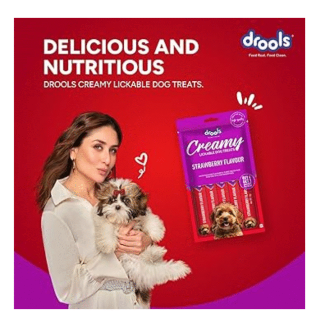 dog treat