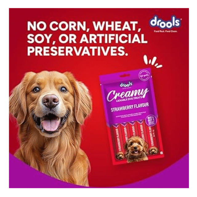 dog treat