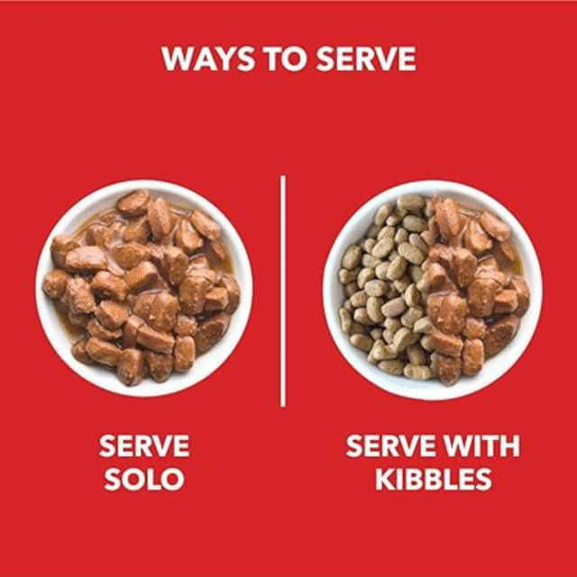 dog wet food