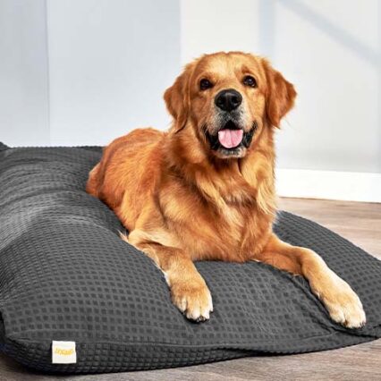 Dog Beds & Mats