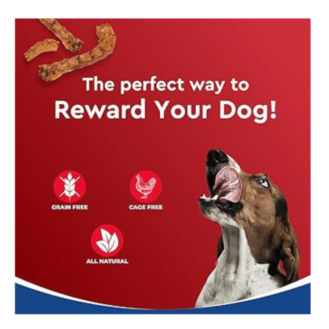 dog treat