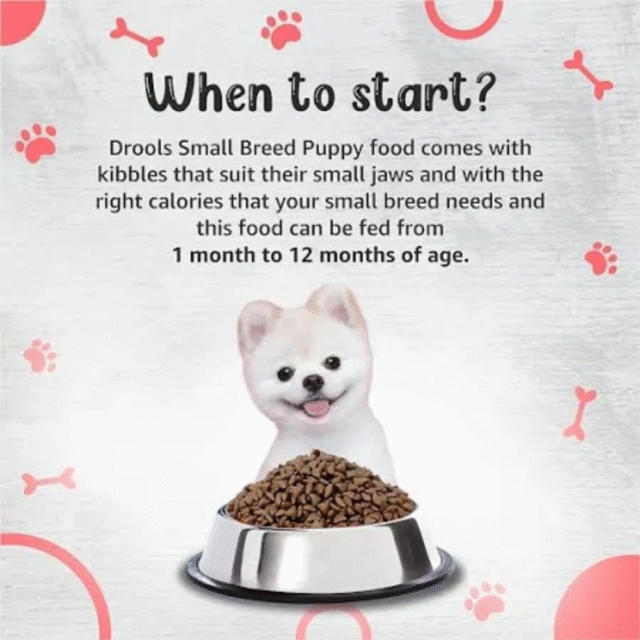 Drools Premium Small Breed Puppy Dog Dry Food 50 g (Pack of 5) - Image 2