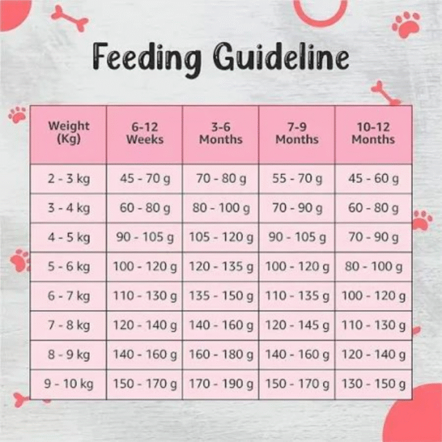 Drools Premium Small Breed Puppy Dog Dry Food 50 g (Pack of 5) - Image 3