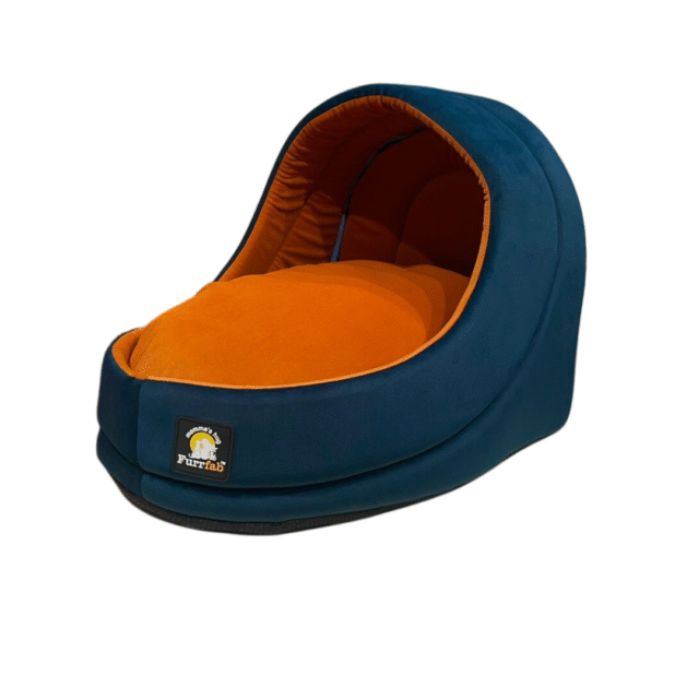 cat bed