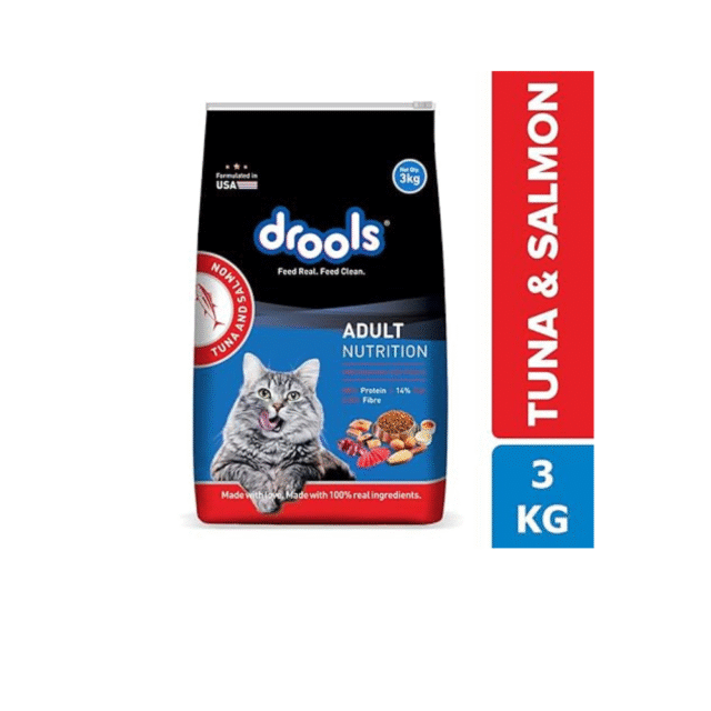 cat dry food