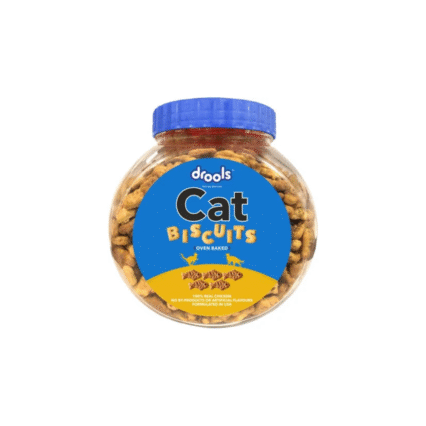 cat terat biscuit