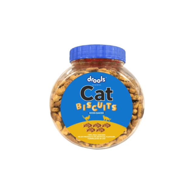 cat terat biscuit