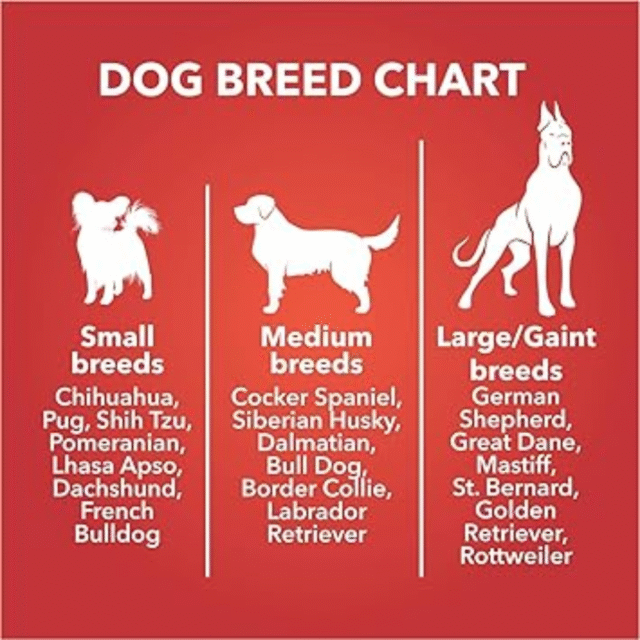 Drools Dog Treat Biscuits, Chicken and Egg Flavor 800g Jar, All Life Stages - Image 4