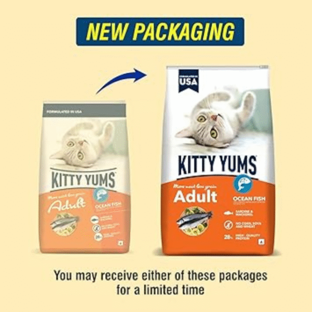 Kitty Yums Adult (+1 Year) Dry Cat Food, Ocean Fish, 1.2kg Pack - Image 2