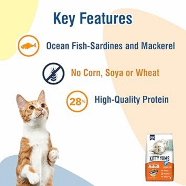 Kitty Yums Adult (+1 Year) Dry Cat Food, Ocean Fish, 1.2kg Pack - Image 5