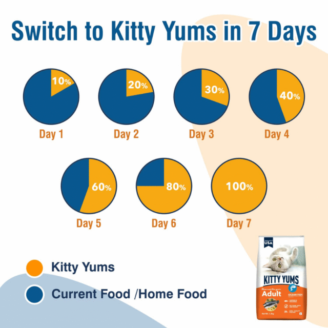 Kitty Yums Adult (+1 Year) Dry Cat Food, Ocean Fish, 1.2kg Pack - Image 6