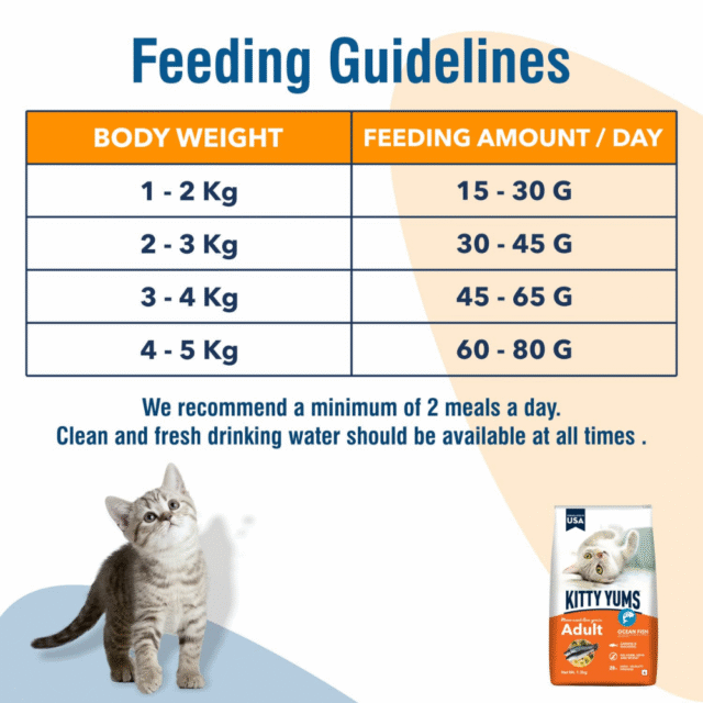 Kitty Yums Adult (+1 Year) Dry Cat Food, Ocean Fish, 1.2kg Pack - Image 7