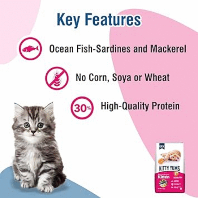 Kitty Yums Kitten Ocean Fish (1-12 Months) Dry Cat Food - 7kg - Image 4