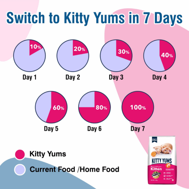 Kitty Yums Kitten Ocean Fish (1-12 Months) Dry Cat Food - 7kg - Image 5