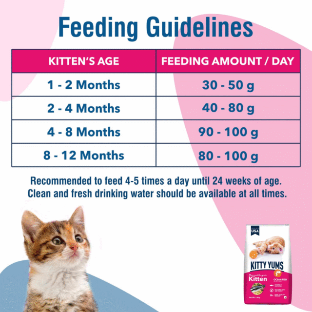 Kitty Yums Kitten Ocean Fish (1-12 Months) Dry Cat Food - 7kg - Image 6