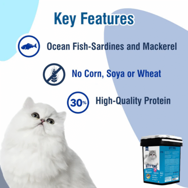 Kitty Yums Persian Adult Dry Cat Food, Ocean Fish, 1.2kg Pack - Image 5