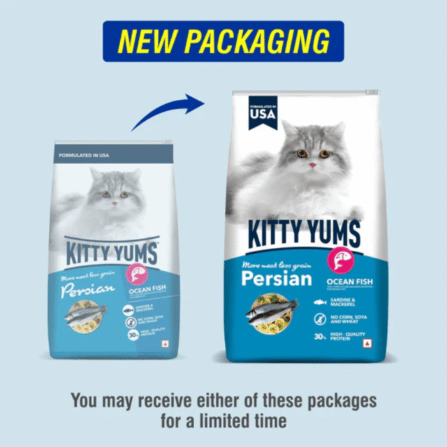 Kitty Yums Persian Adult Dry Cat Food, Ocean Fish, 1.2kg Pack - Image 2