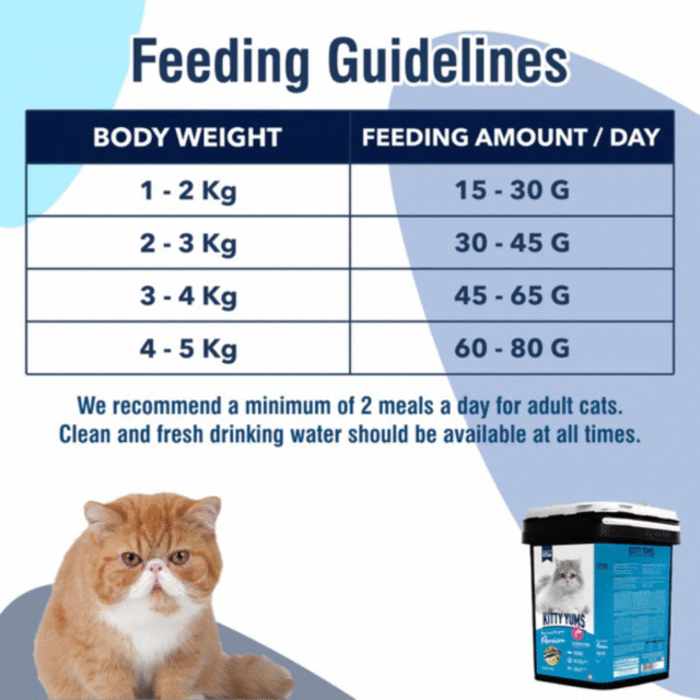 Kitty Yums Persian Adult Dry Cat Food, Ocean Fish, 1.2kg Pack - Image 6