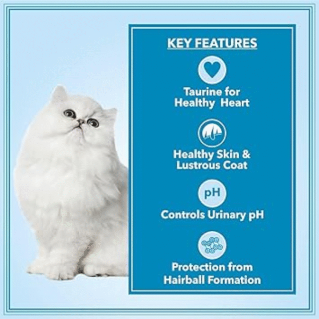 Let's Bite Active Persian Dry Adult Cat Food (1+1)Kg - Image 2