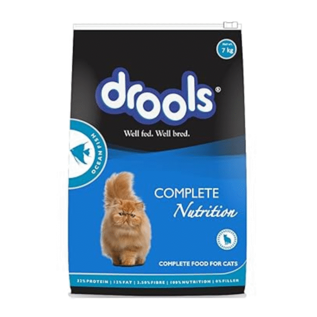 cat dry adult