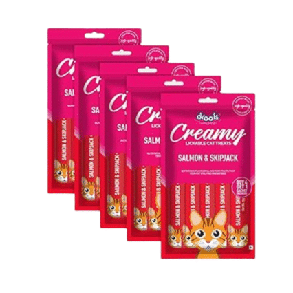 cat treat food