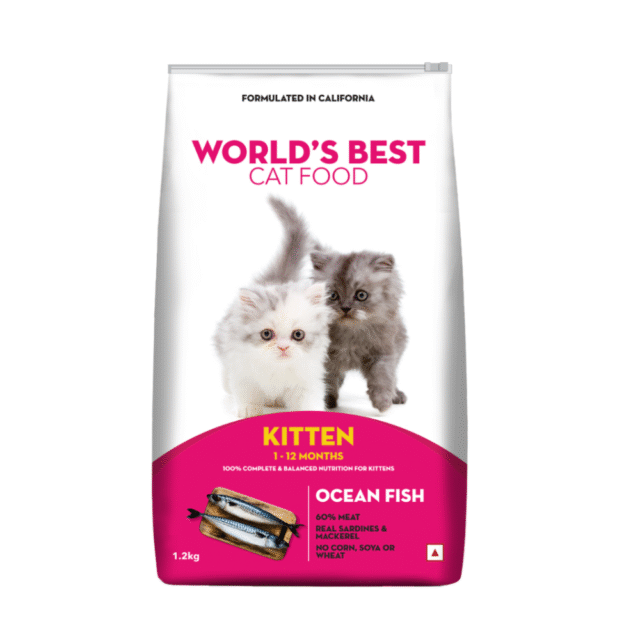 cat dry food