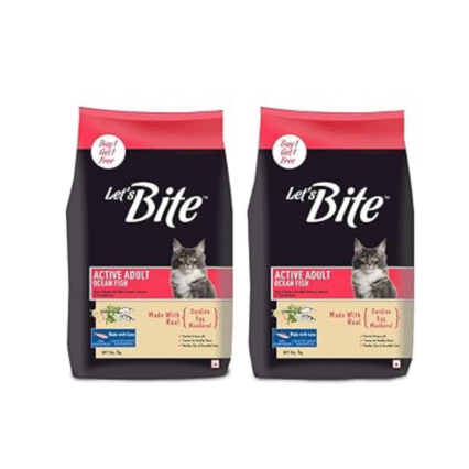 cat dry food