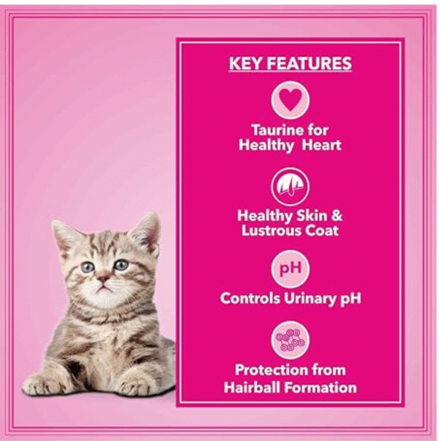 Let's Bite Active Kitten Ocean Fish Cat Dry Food-400g - Image 2