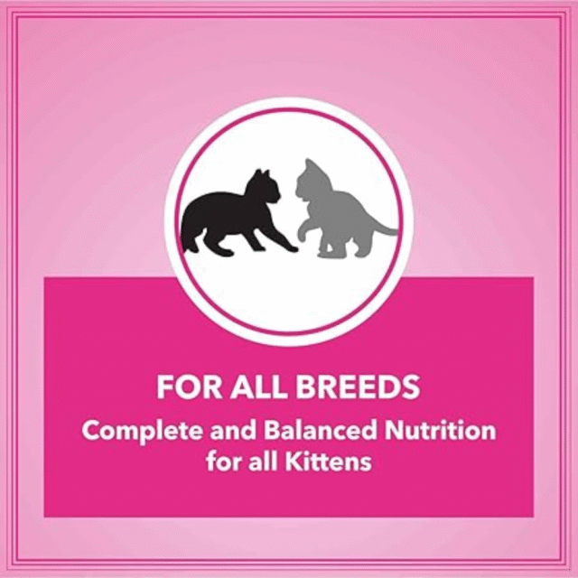 Let's Bite Active Kitten Ocean Fish Cat Dry Food-400g - Image 3