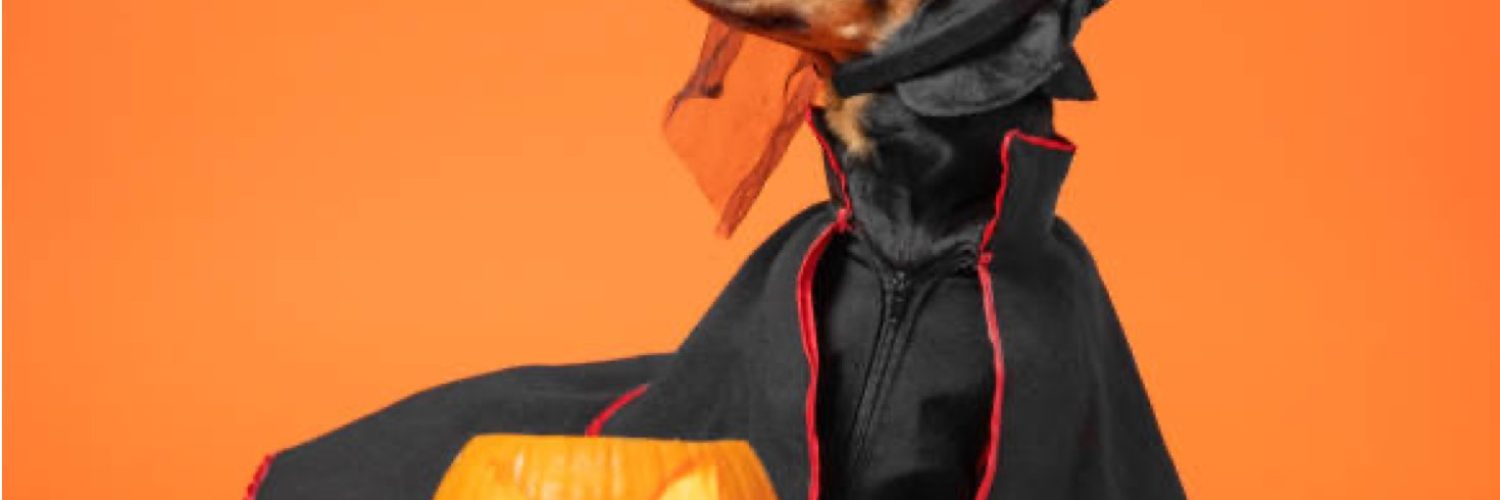 istockphoto-1263367345-612x612